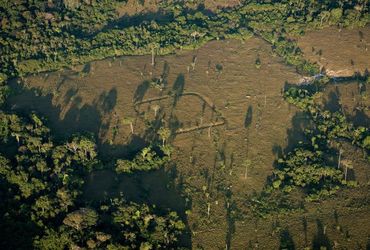 Unveiling the Hidden Wonders: Scientists Discover Ancient Earthworks: You Won't Believe How Many Exist!