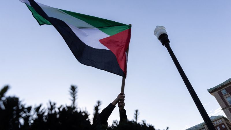Unmasking the Truth: The Ongoing Struggle of Palestinian Americans and Activists