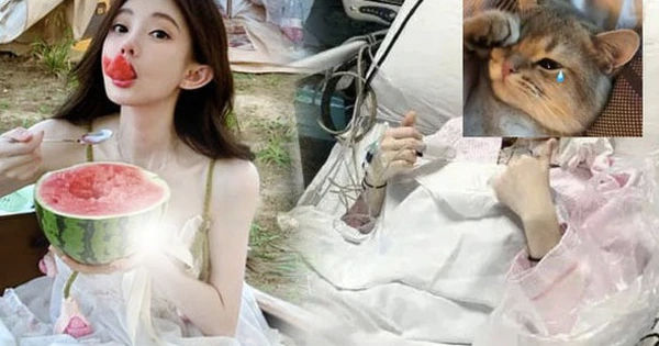 Cựu streamer nổi tiếng, thu 100 tỷ/năm, đối mặt với bệnh hiểm nghèo