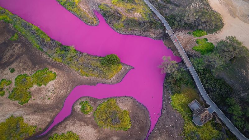 The Astonishing Transformation: Hawaii Refuge Stunned by Magenta Waters