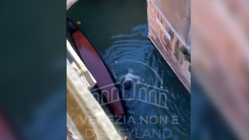 Tourists' Quest for Selfies Leads to Venice Gondola Tragedy