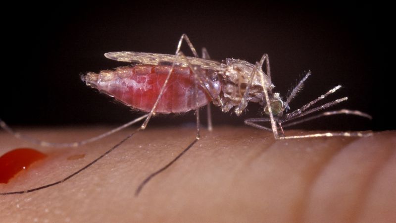 African Scientist's Breakthrough: Eradicating Malaria Through Mosquito DNA Editing