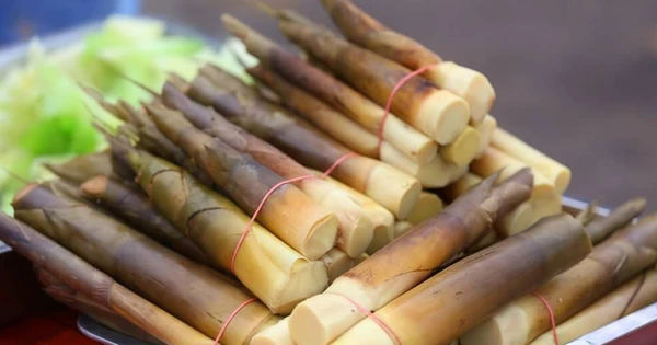 5 thực phẩm gây hại gan, ảnh hưởng đến tuổi thọ: Những điều mà mọi người đều biết nhưng vẫn chủ quan