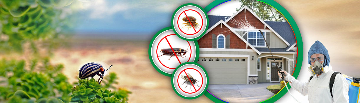 Pest Control Melbourne