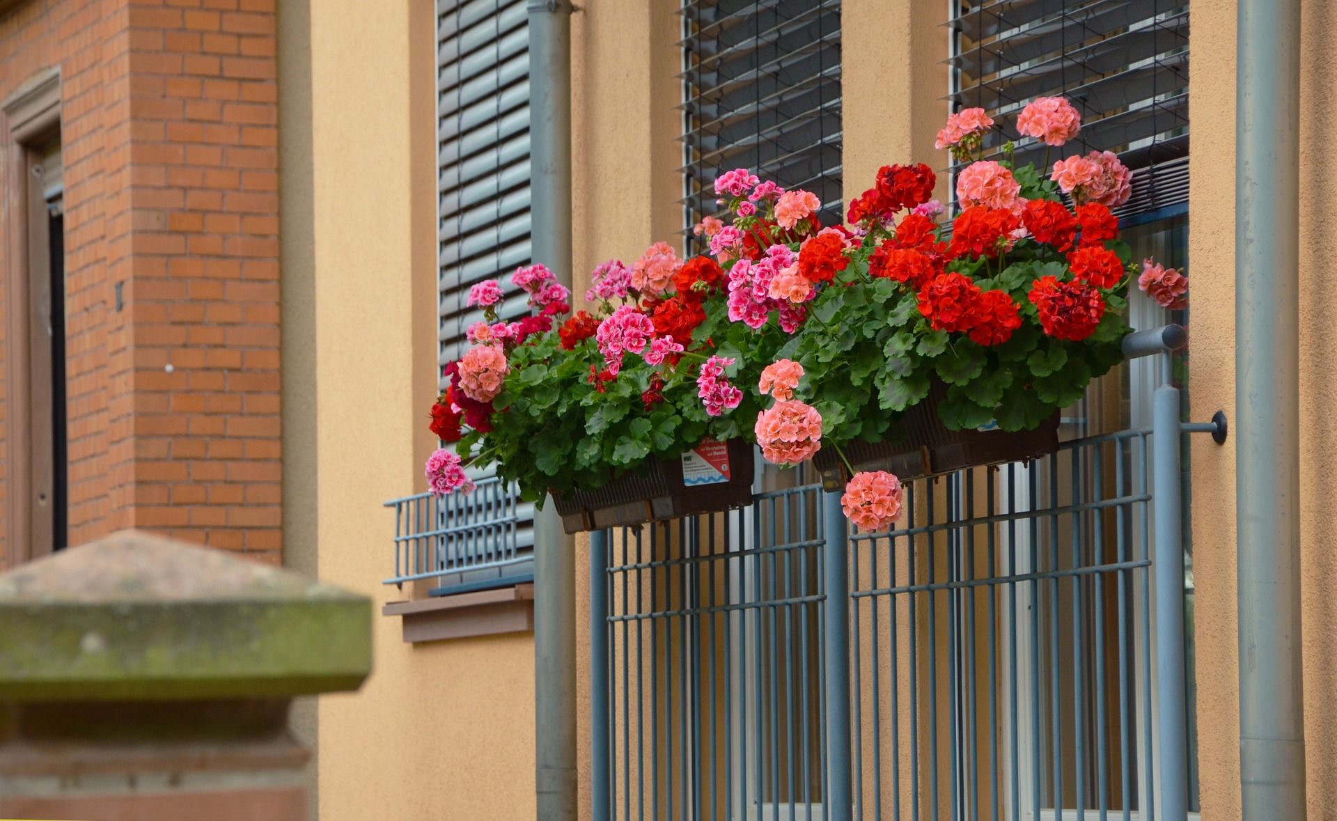 steel-planter-boxes