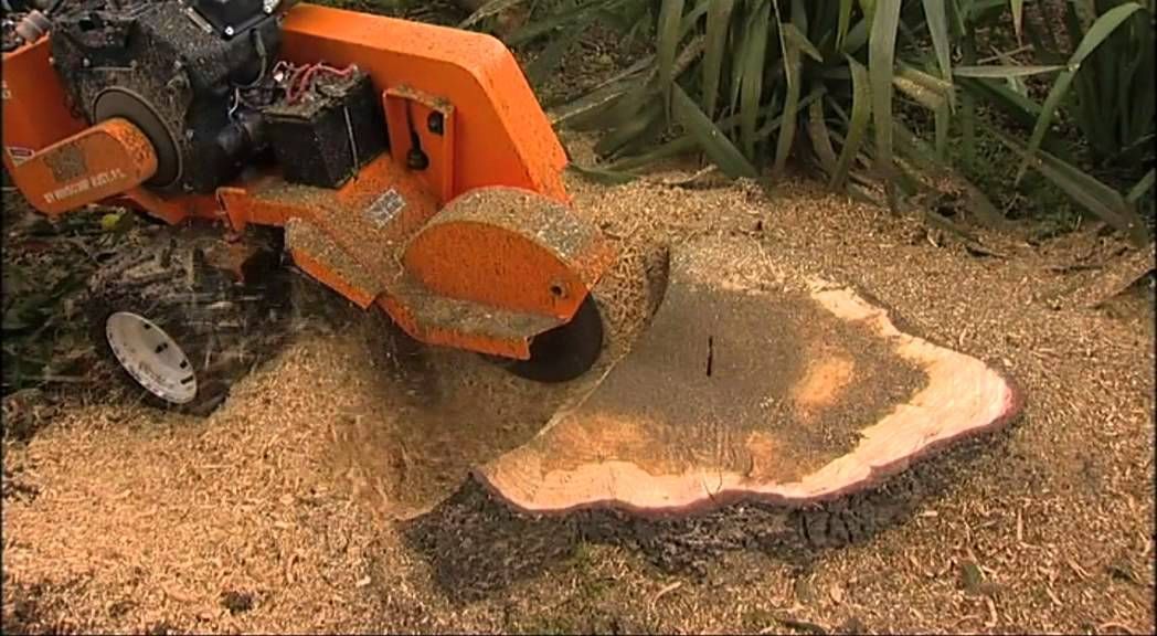 Tree Stump Grinding Services 
