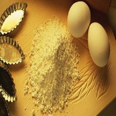 India Egg Powder Market 