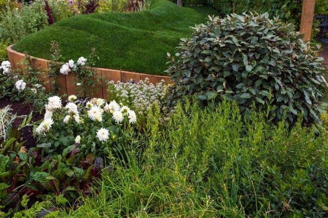 garden landscaping in Dubai