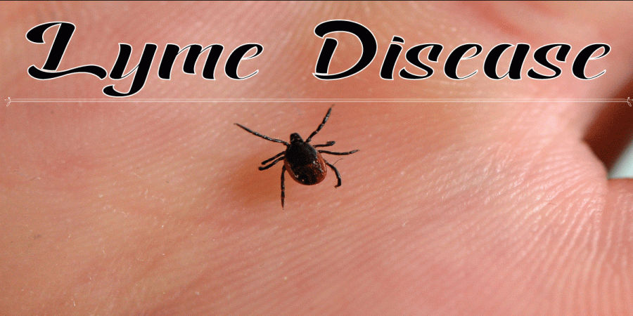 Lyme Disease