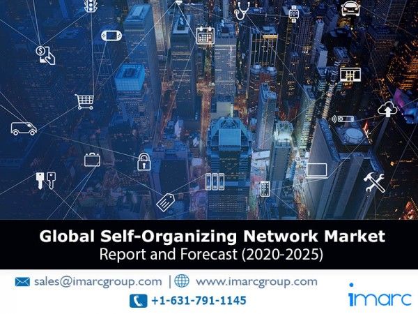  Global Self-Organizing Network Market