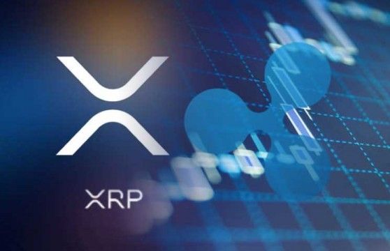 Xrp accessories 