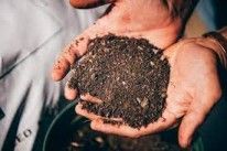 Peat free compost