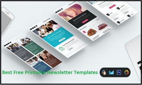 newsletter template