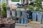 plant pots outdoor