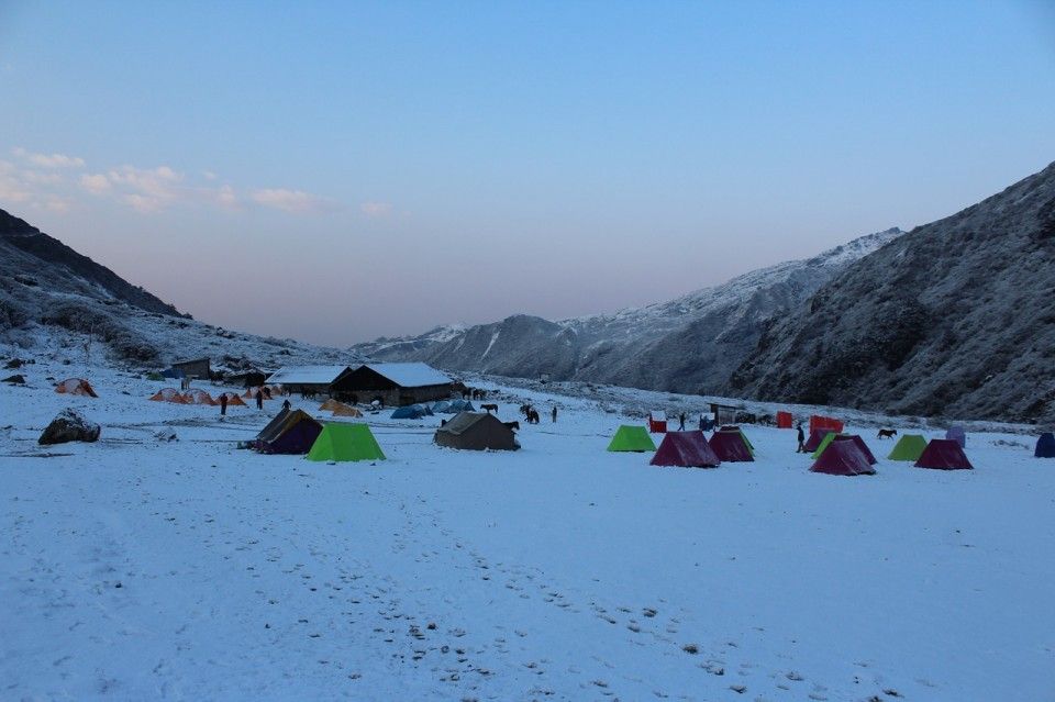 campsite at goechala trek