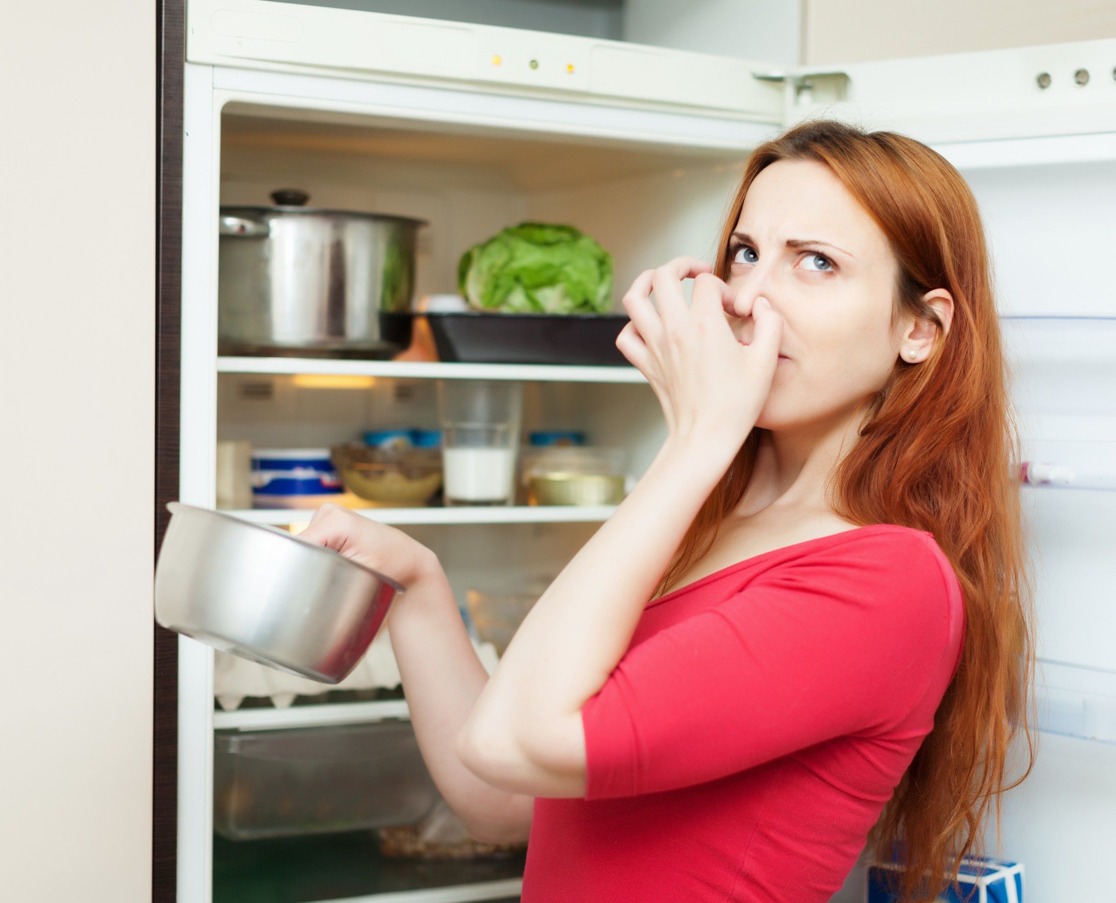 refrigerator repair Sacramento