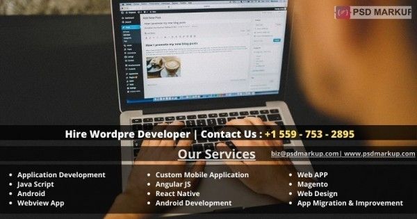  hire Wordpress developer