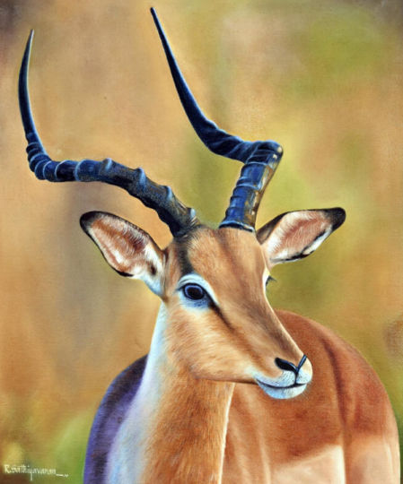 Animal painting
