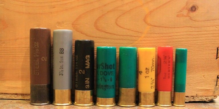 10 gauge shotgun ammo