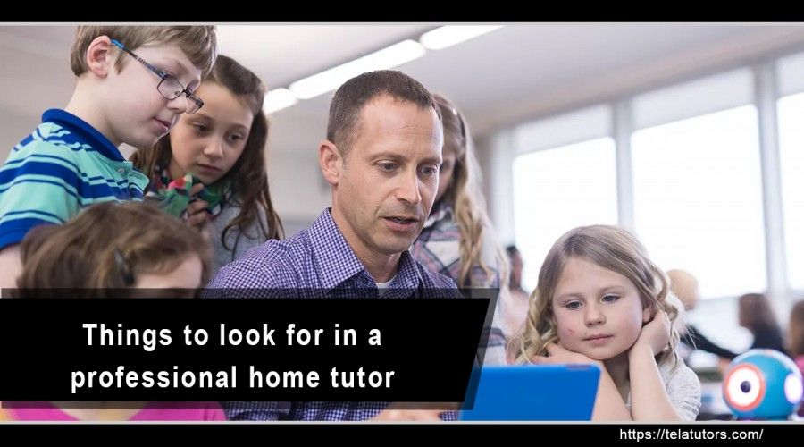 Things to look for in a professional home tutor 