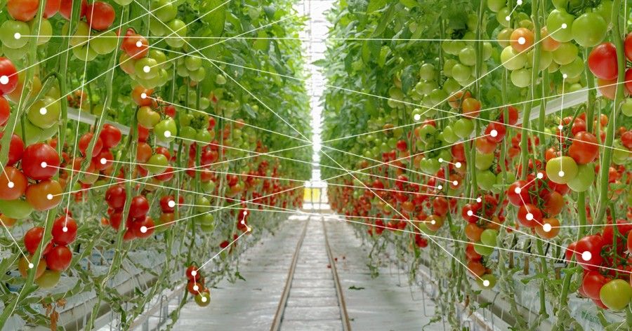 Global Smart Farming Market, Smart Farming Market, Smart Farming, Smart Farming Market Comprehensive Analysis, Smart Farming Market Comprehensive Report, Smart Farming Market Forecast, Smart Farming M