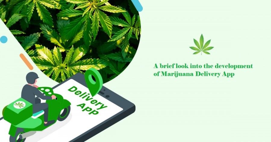 Uber-like app for Marijuana