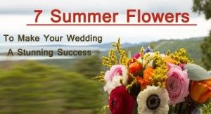 summer flowers- 7 Summer Flowers to Make Your Wedding a Stunning Success