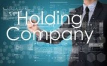 Holding, companies, business, functions