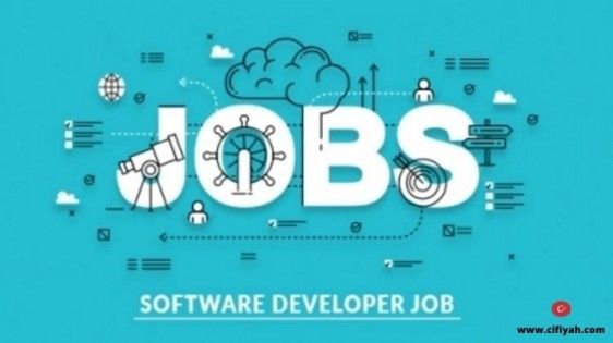 software developer