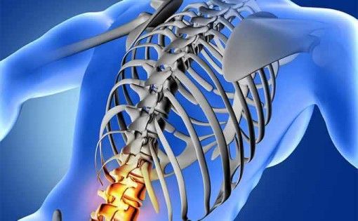 Nakase Law Spinal Injury Compensation