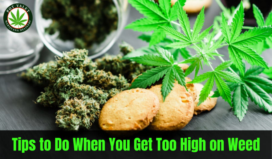 Tips to Do When You Get Too High on Weed