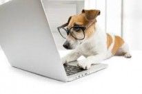 Veterinary Software Market Size, Veterinary Software Market Share