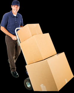 removalist in Brisbane 