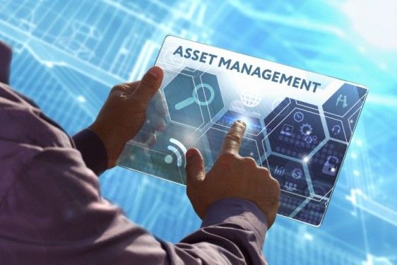 asset management software