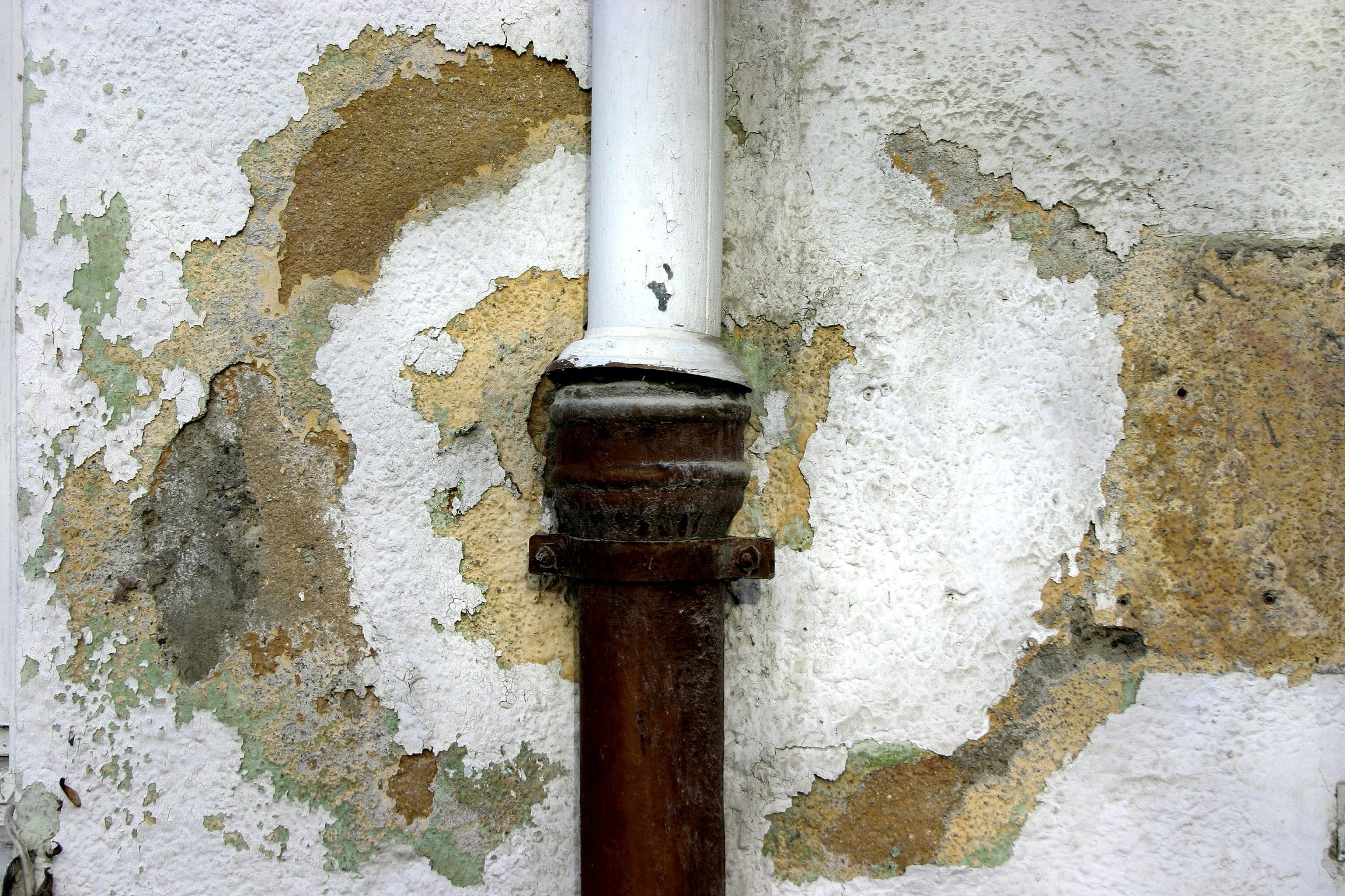 Mold Restoration