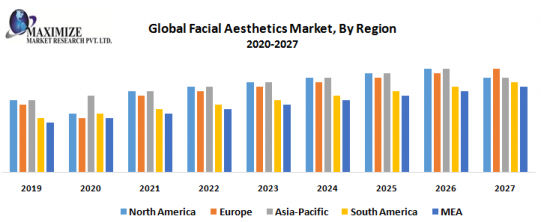 Facial Aesthetics Market