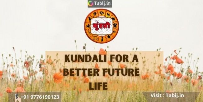 kundali-prediction-tabij.in_