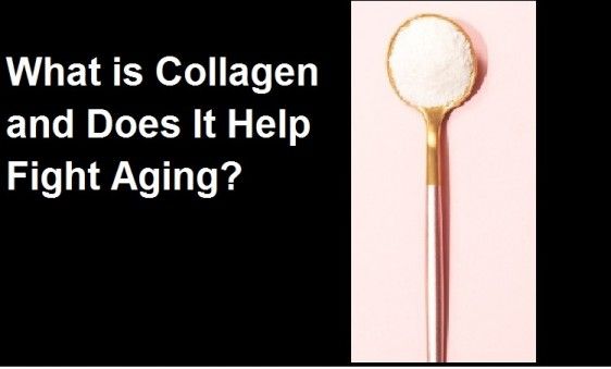 Collagen and Does It Help Fight Aging?