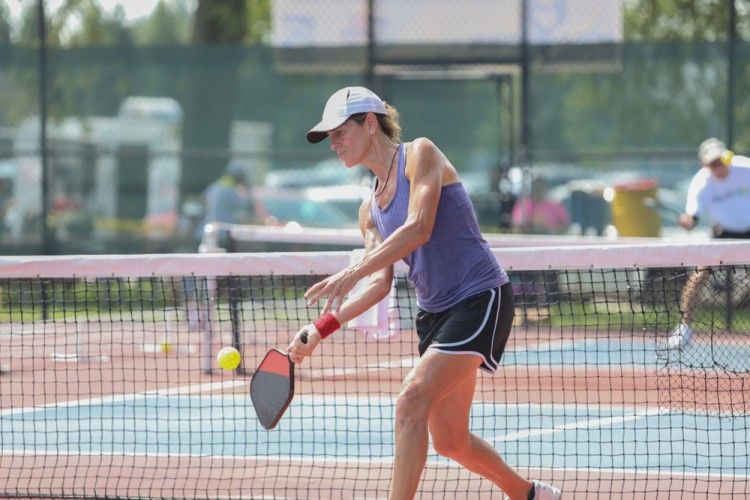 pickleball court maintenance and measurements