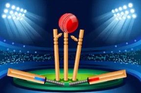 Fantasy cricket