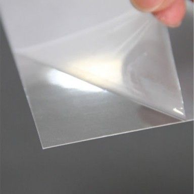 Hard coating film Market Size