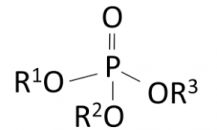 Phosphate Ester Market