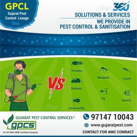 Pest Control, termite treatment