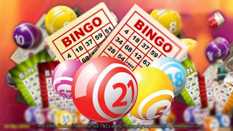 Best Bingo Games Online