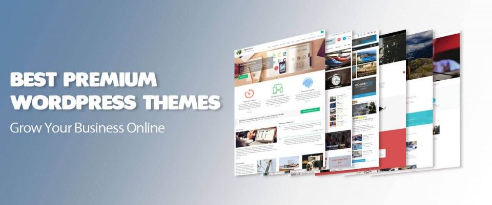 8 Best WordPress themes