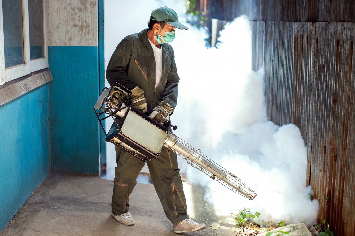 Best Pest Control Services In Kolkata