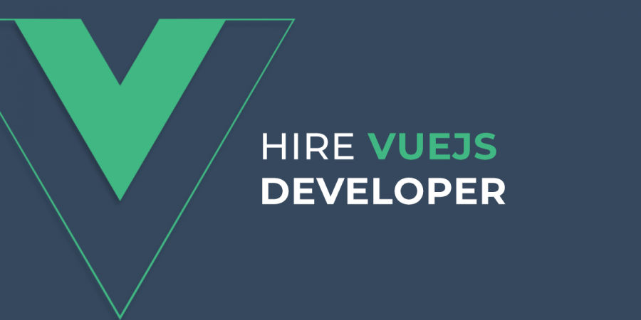 hire vue js developer