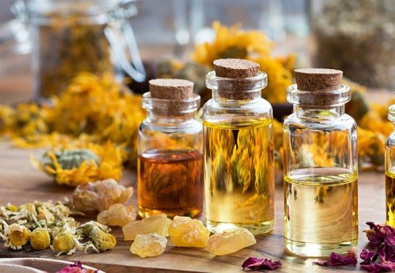 Organic Edible Oil Market Size