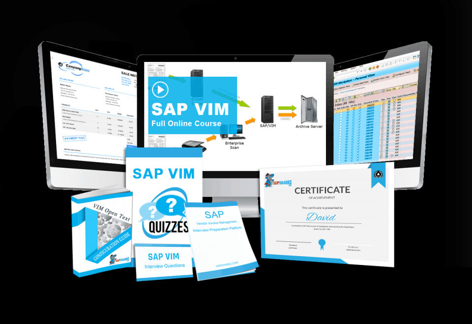 sap vim training