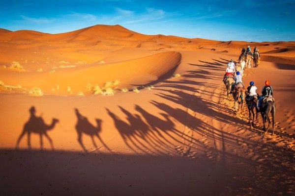 Desert Safari Dubai